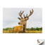 Print on Canvas-1209862848-1209862852