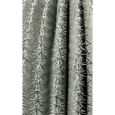 Silver Spikes Grand 2 Photographic Print