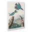 Belted Kingfishers by John James Audubon - Wrapped Canvas-55363415
