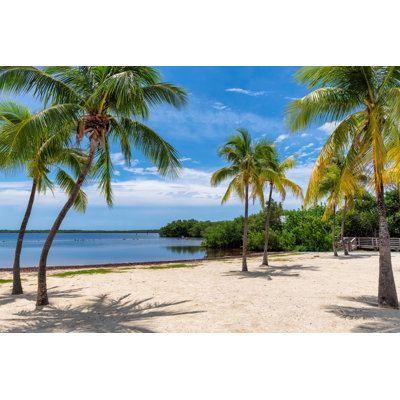 " Coconut Palm Trees " by Lucky