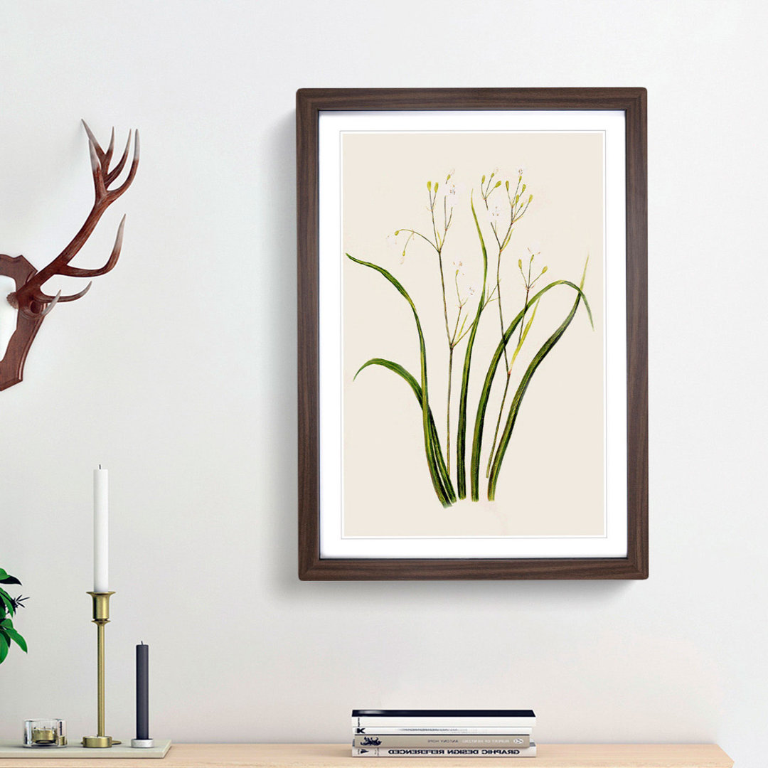 Tukautei Flowers by Sarah Featon - Framed Print