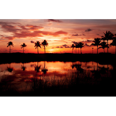 Tropical Sunset - Wrapped Canvas Print