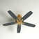 Franson 56'' Ceiling Fan
