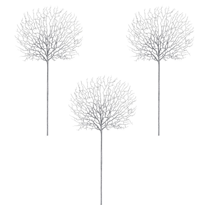 Aérosol corail scintillant, Argent