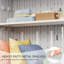 Remise de rangement verticale 64 pieds cubes imperméable avec tablettes et plancher