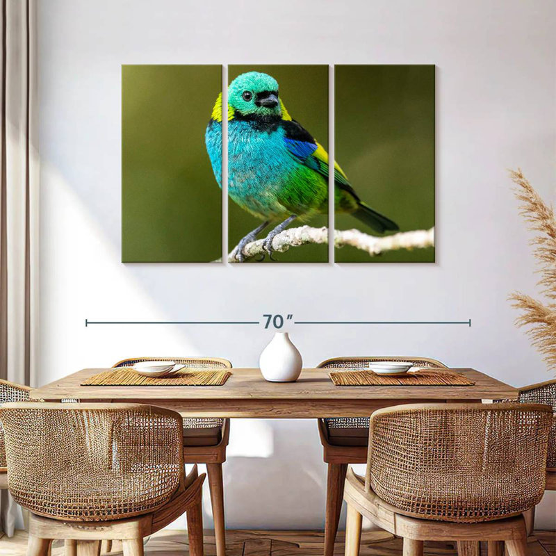 Brampt Green Headed Tanager, 36" H x 57" W