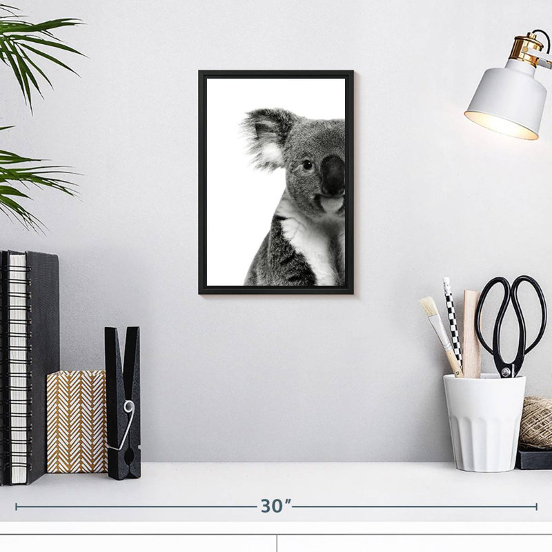 Koala adorable, 9 po x 13 po, Cadre flottant noir