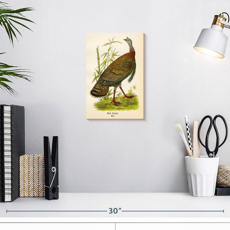 Brampt Wild Turkey Lithograph, 12" H x 8" W
