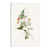 White Floater Frame