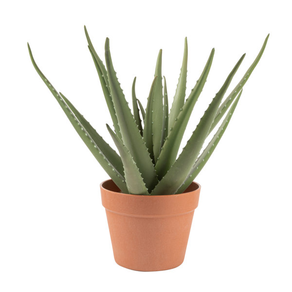 17'' Faux Aloe Plant in Pot | Birch Lane