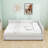 Yasmir Upholstered Sofa Daybed with Trundle-2032365595-2032365592