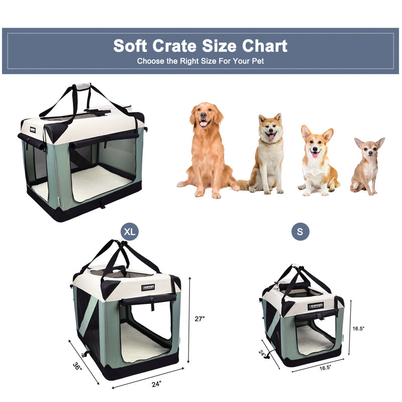 Caisse pour chien Jespet, H 27 po x l 24 po x P 36 po, Vert