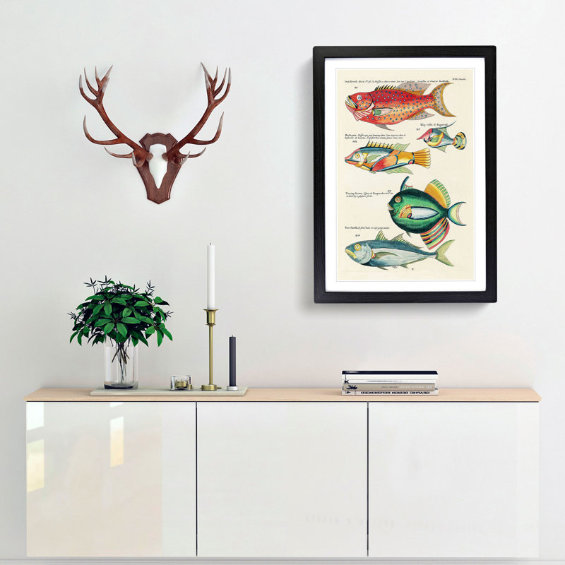 East Indies Fish Illustrations XXI by Louis Renard - Picture Frame Graphic Art Print, 65cm H x 48cm W x 2cm D, Black Framed