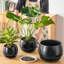 TYHPOT Ceramic Pot Planter-141006039