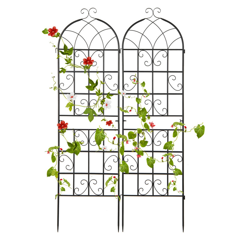 Metal Arched Trellis, 180cm H x 50cm W