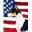2 côtés en polyester de 2 côtés american drapeau de jardin-1288238572