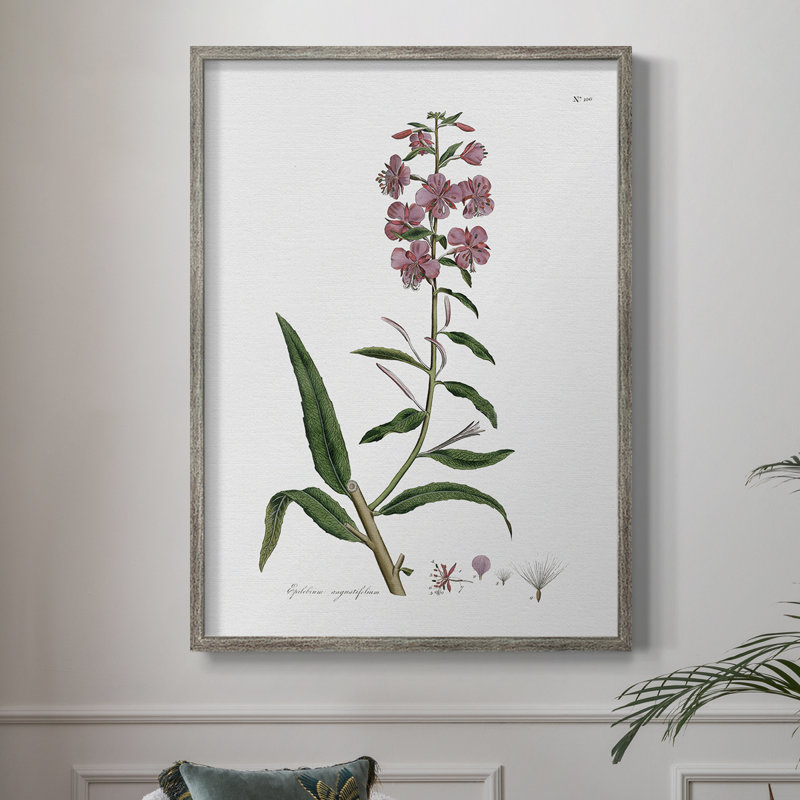 Rose Botanical I, reproduction encadrée - bois massif 47457, H 11 po x l 9 po