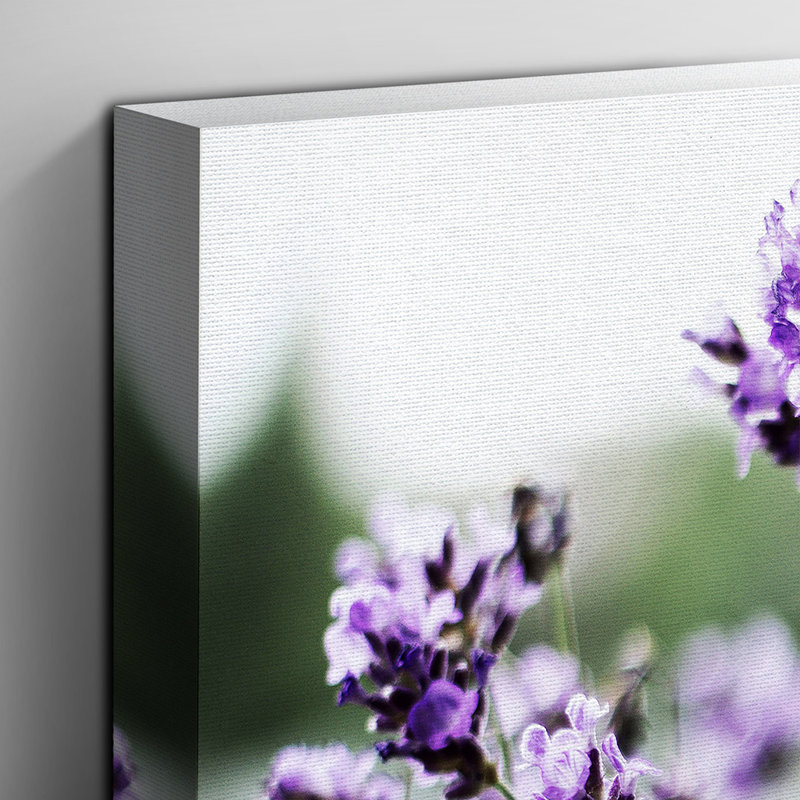 Purple Lavender Photographic - Wrapped Canvas, 40cm H x 60cm W