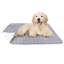 Tapis confortable pour animaux Iancarlo-899008755
