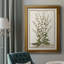 «Munting Botanicals III», reproduction d'art sur toile-1694107788