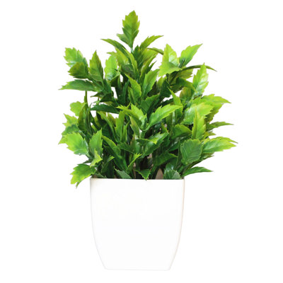 Etowah Artificielle Bonsai Vivid Living Room