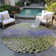 Chayil Area Rug with Non-Slip Backing