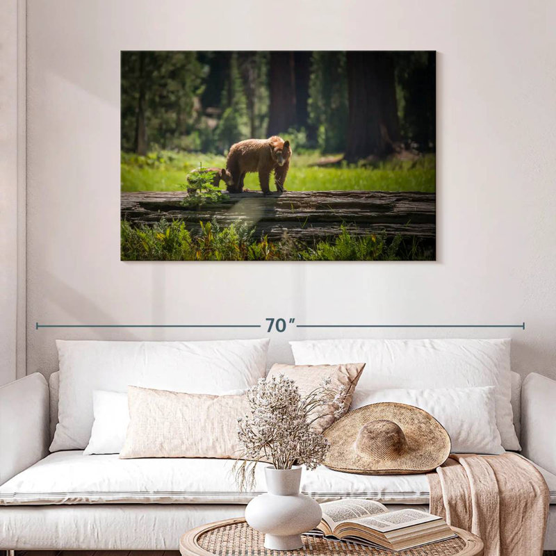 Crowle Sequoia Wild Bears, 30" H x 45" W