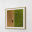 Single Picture Frame Print-1639898075
