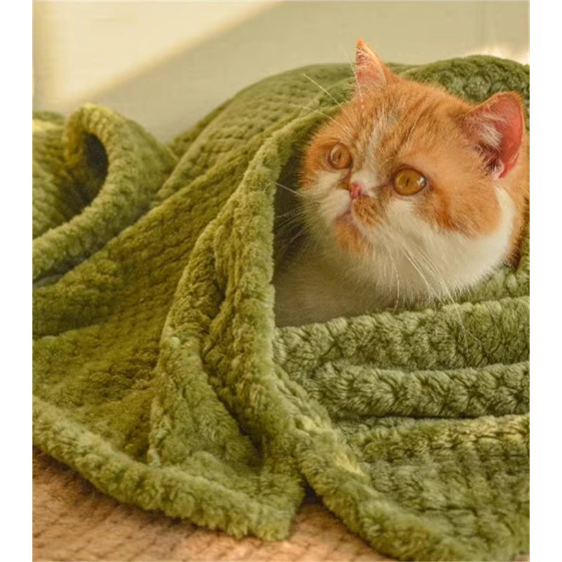 Couverture en flanelle pour animaux