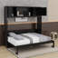 Lit escamotable double avec armoires de rangement