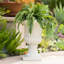 Jardinière d'extérieur-949620906