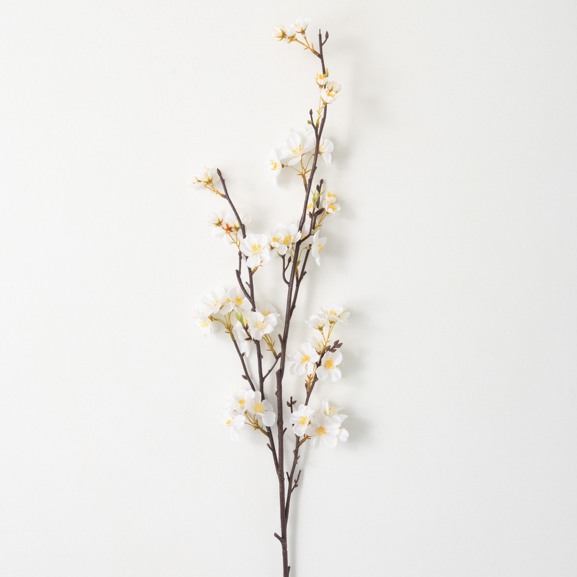 Mixed Sprays, White