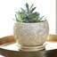 Jardinière 8 po Elora, perle, paquet de 2