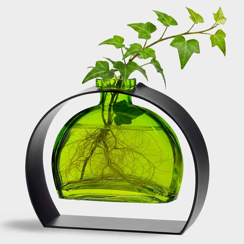 Vase en verre recyclé arrondi et support en métal arqué, capacité de 6 oz, vert lime, Vert lime