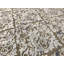 Sona One-of-a-Kind 9'9" X 13'6" Area Rug