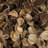 Preserved Cotton Arrangement