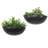 Niglaes Ceramic Wall Planter