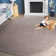 Paulina Hand Woven Cotton Chevron Rug