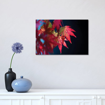 Red Fragile by Philippe Sainte-Laudy - Wrapped Canvas Print