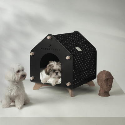 Dog House