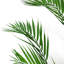Faux Palm Tree-561748055