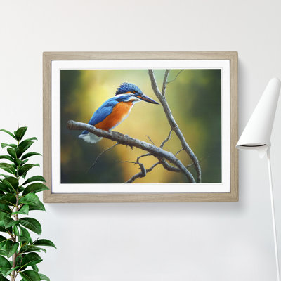 Cool Kingfisher Bird - Framed Print