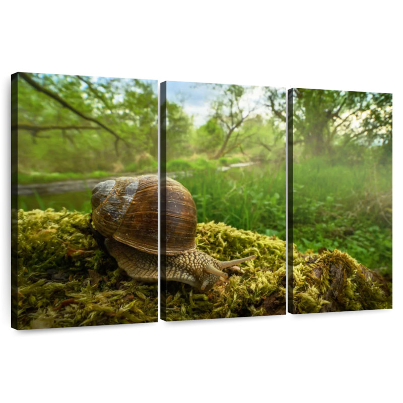 Roman Garden Snail, 48" H x 74" W