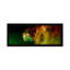 Stars Emerging from Orion's Head (Spitzer Space Observatory) 1 Piece Panoramic Wall Art on Canvas-701891634-701891639