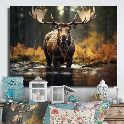 " Canada Majestic Moose III "