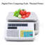 Balance numérique avec imprimante thermique 66Lbs 110V