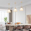 Abat-jour lustre en métal 1 lumière Leibuy-25639164