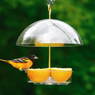 Mangeoire plateau d’oiseau seed