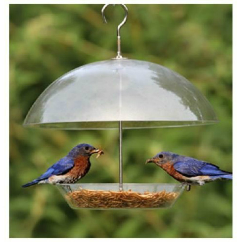 Esperanza Hanging Tray Bird Feeder