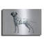 «Dalmatian» par Harro Maass-13131538
